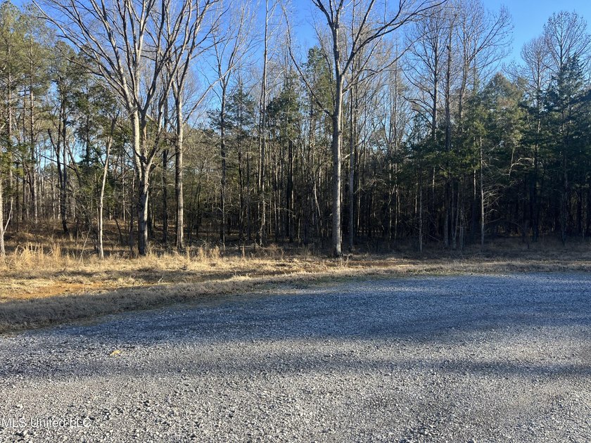 Welcome to Springwood Trail, come experience this new lakefront - photo 37