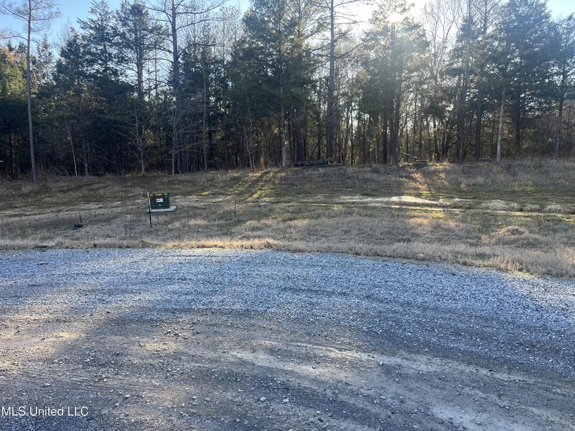 Welcome to Springwood Trail, come experience this new lakefront - photo 38