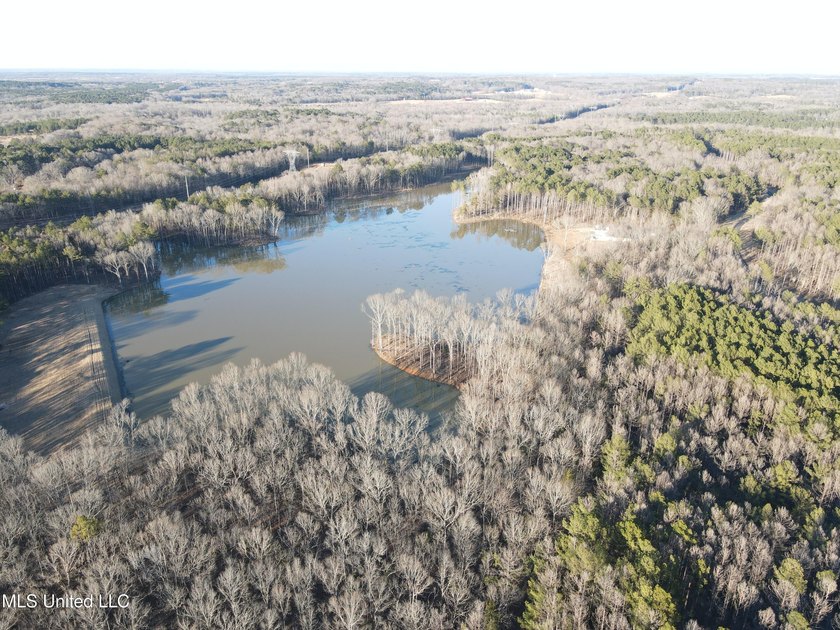 Welcome to Springwood Trail, come experience this new lakefront - photo 43