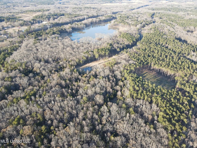 Welcome to Springwood Trail, come experience this new lakefront - photo 49