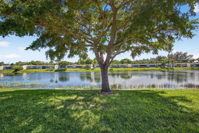 224 Lake Constance Dr #224 - photo 27