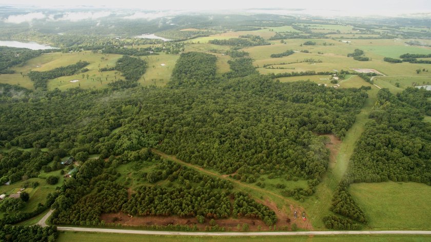 Down Farm Road 2255 lies approximately 100 acres of opportunity - photo 3