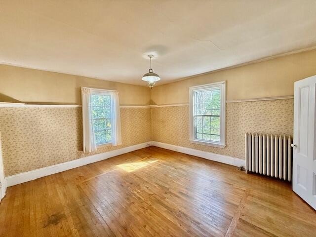 Vintage 4-bedroom house in historic Belfast with a long history - photo 8