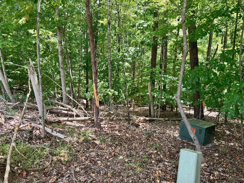 Fantastic water access lot in popular Village East community - photo 5