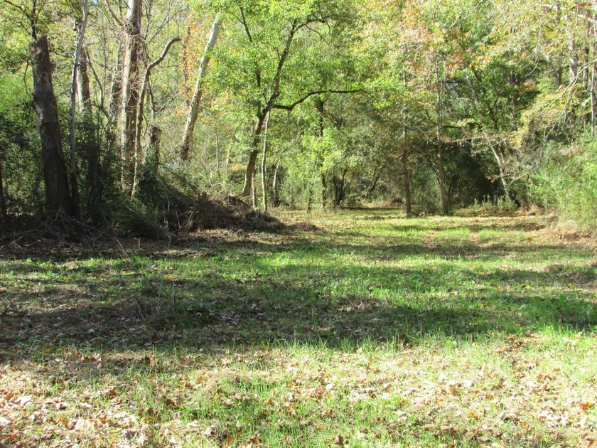 72.5 acres of open pastureland with dirt work started for a lake - photo 11