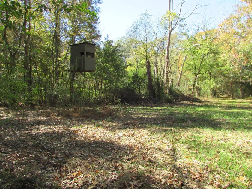 72.5 acres of open pastureland with dirt work started for a lake - photo 12