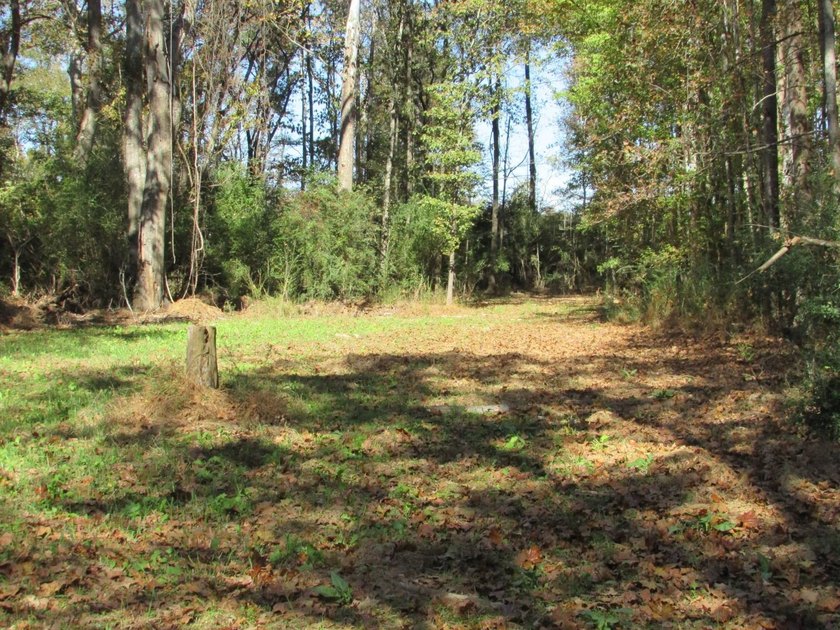 72.5 acres of open pastureland with dirt work started for a lake - photo 13
