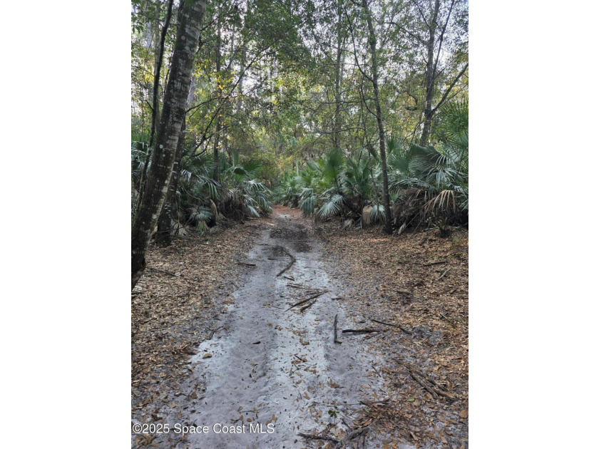 Discover a rare 52.39+/- acre development opportunity with a - photo 11