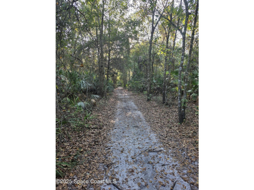 Discover a rare 52.39+/- acre development opportunity with a - photo 15