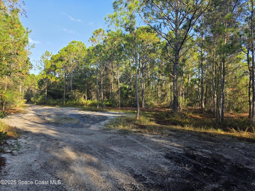Discover a rare 52.39+/- acre development opportunity with a - photo 21