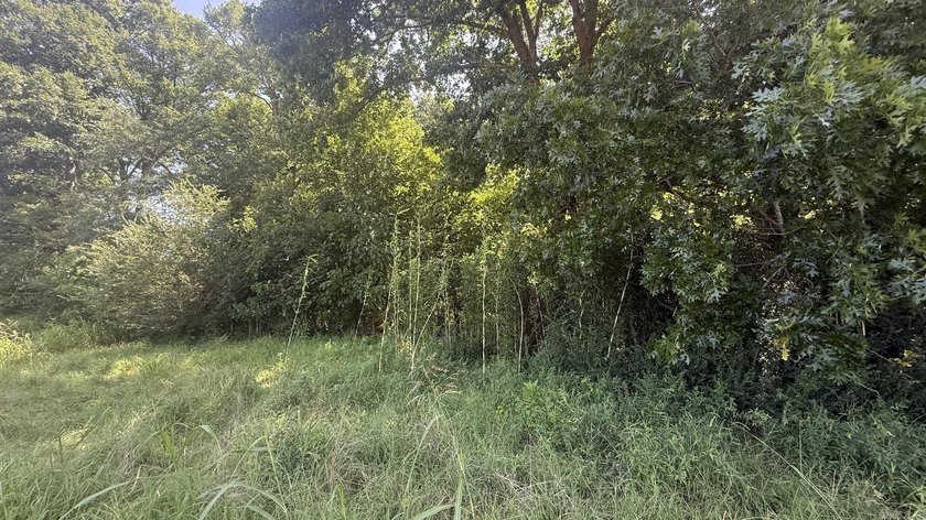 New Development inside the city limits of Heber Springs. River - photo 2