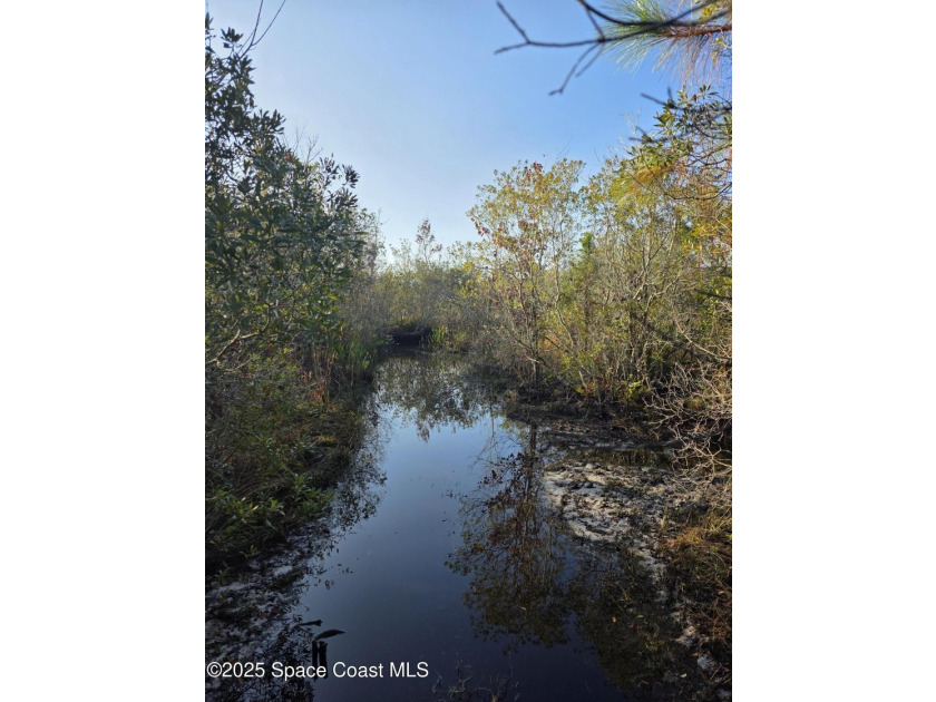 Discover a rare 52.39+/- acre development opportunity with a - photo 25