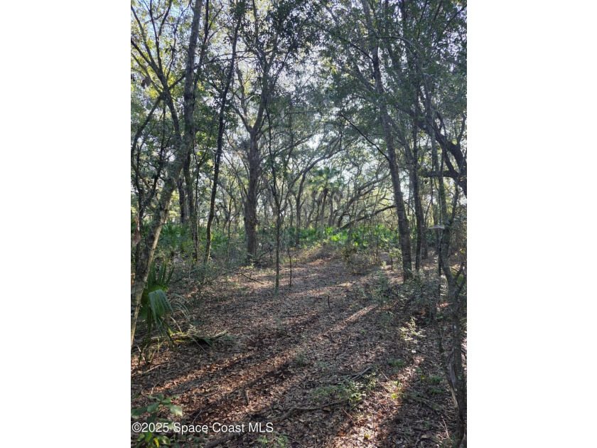 Discover a rare 52.39+/- acre development opportunity with a - photo 32