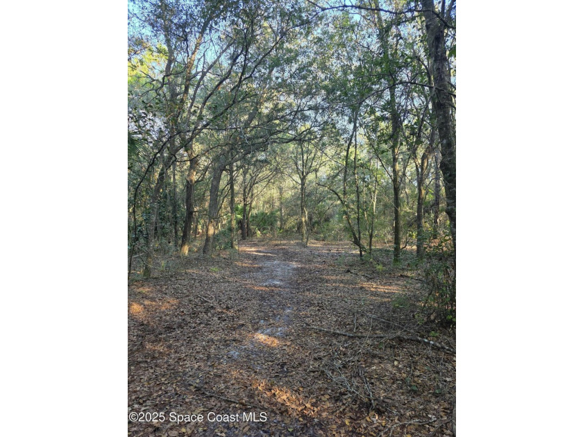 Discover a rare 52.39+/- acre development opportunity with a - photo 33