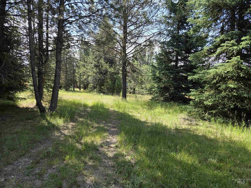 Remarkable property ready for you to camp, RV or build. 1.5 flat - photo 30
