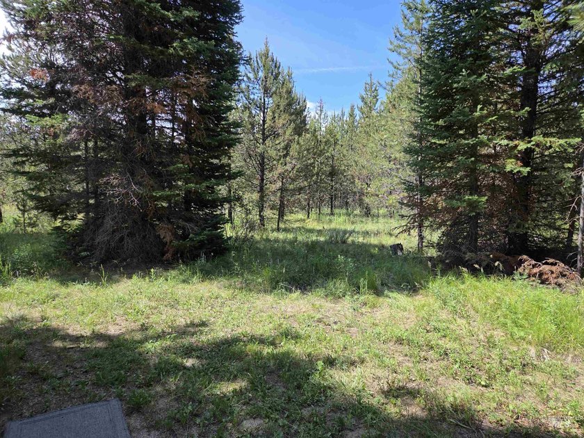 Remarkable property ready for you to camp, RV or build. 1.5 flat - photo 34