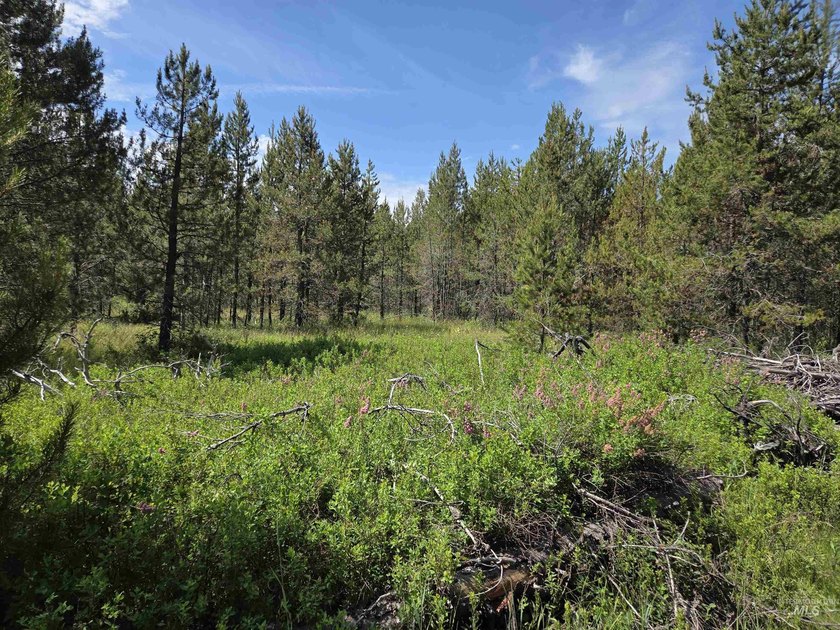 Remarkable property ready for you to camp, RV or build. 1.5 flat - photo 36