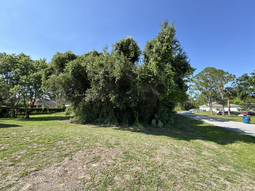 Sale includes only the vacant land portion of the current - photo 4