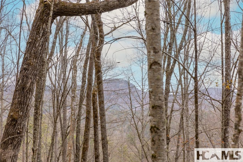 A blank canvas awaits you on this 35+/- acre unrestricted land - photo 14