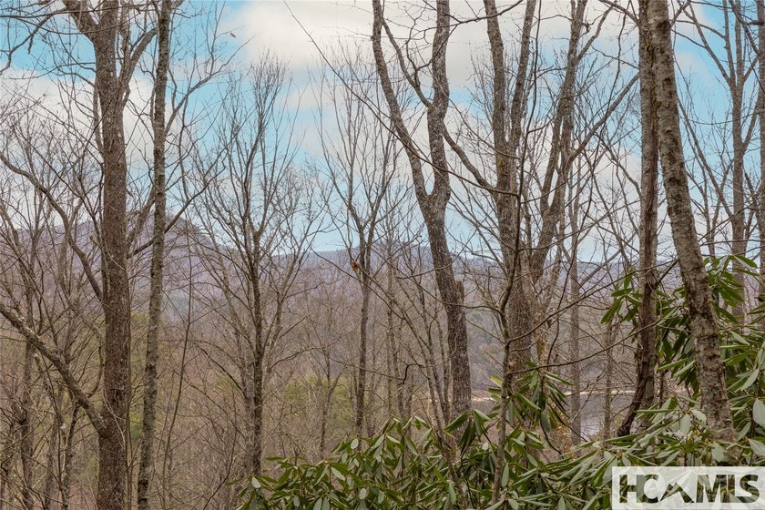 A blank canvas awaits you on this 35+/- acre unrestricted land - photo 18