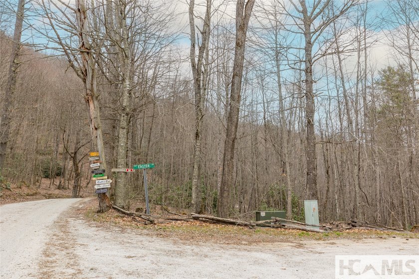 A blank canvas awaits you on this 35+/- acre unrestricted land - photo 20