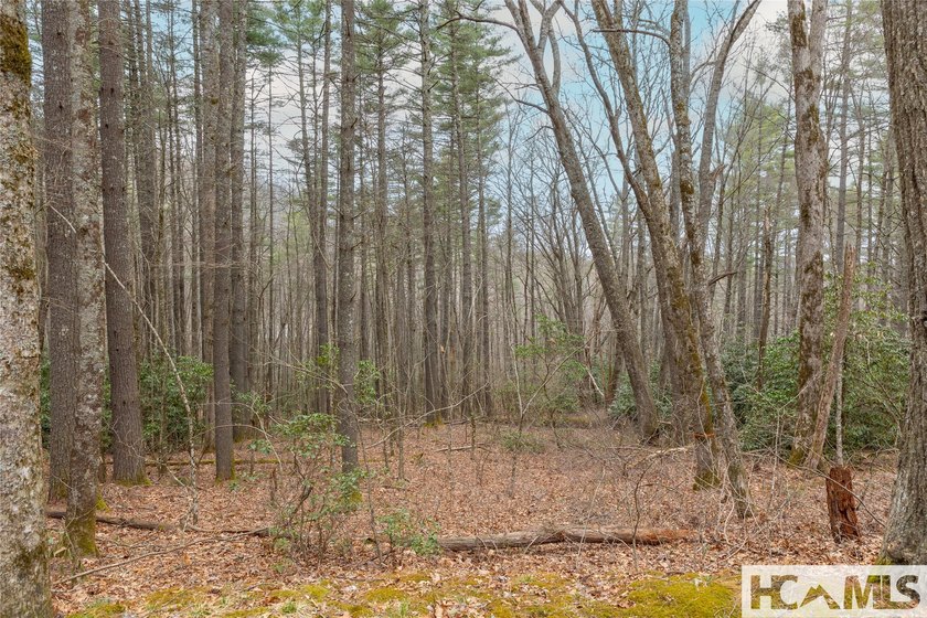 A blank canvas awaits you on this 35+/- acre unrestricted land - photo 21