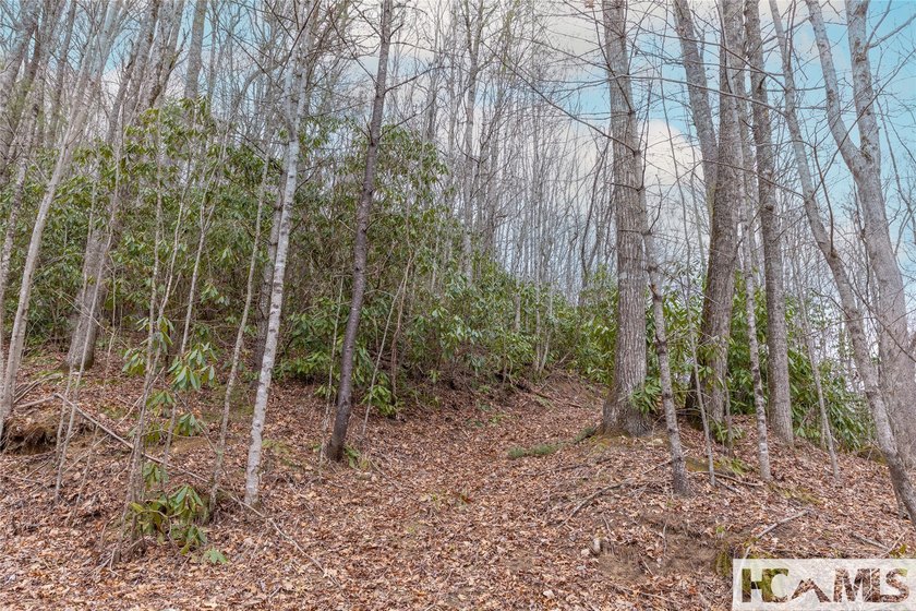 A blank canvas awaits you on this 35+/- acre unrestricted land - photo 22