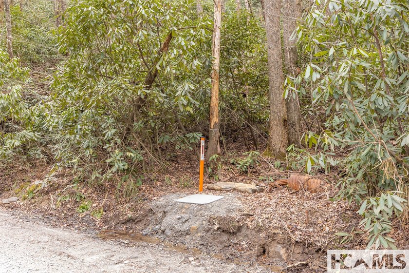 A blank canvas awaits you on this 35+/- acre unrestricted land - photo 24