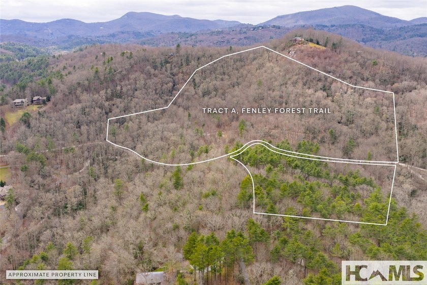 A blank canvas awaits you on this 35+/- acre unrestricted land - photo 25