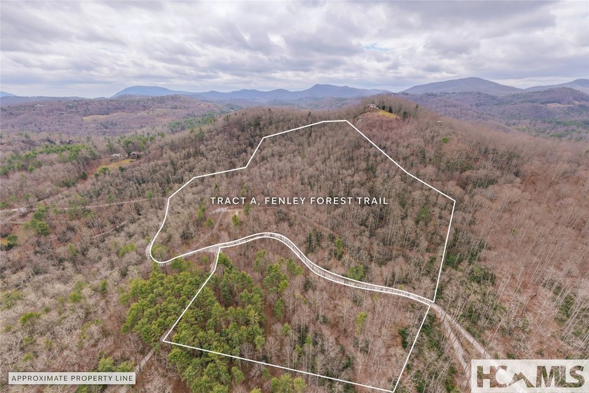 A blank canvas awaits you on this 35+/- acre unrestricted land - photo 26
