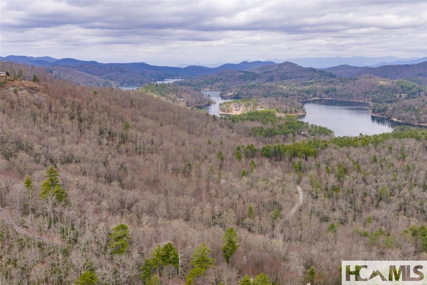 A blank canvas awaits you on this 35+/- acre unrestricted land - photo 30