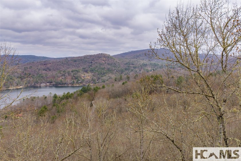 A blank canvas awaits you on this 35+/- acre unrestricted land - photo 32