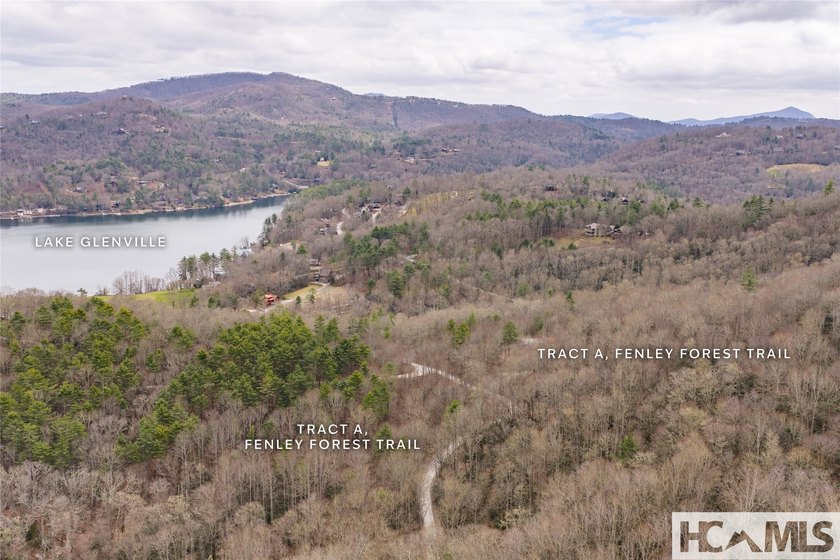 A blank canvas awaits you on this 35+/- acre unrestricted land - photo 34