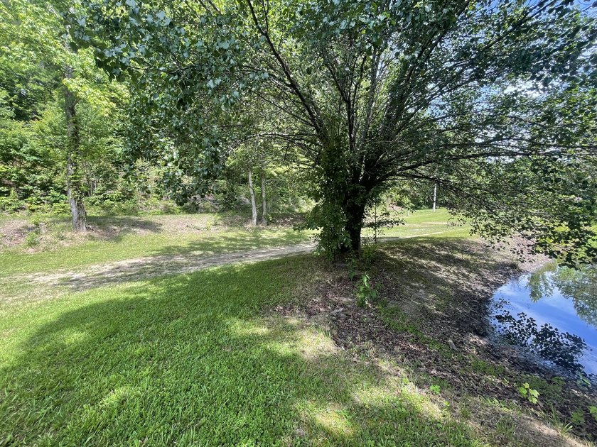 Own approximately 10 unrestricted acres with over 900 feet of - photo 39