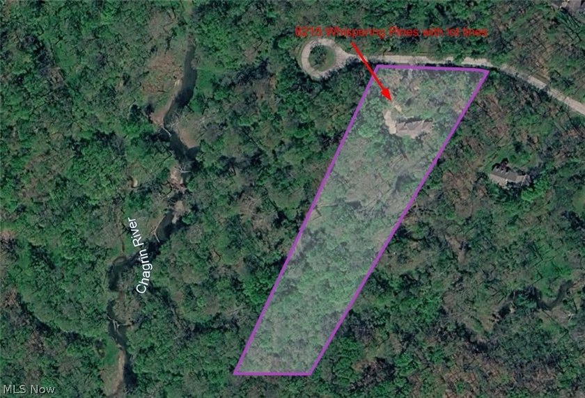 Tucked back on 5.09 wooded acres, this home offers the kind of - photo 42