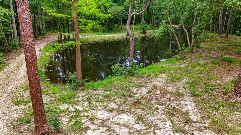 HIDDEN GEM right here in Pearl River County. This piece of - photo 11