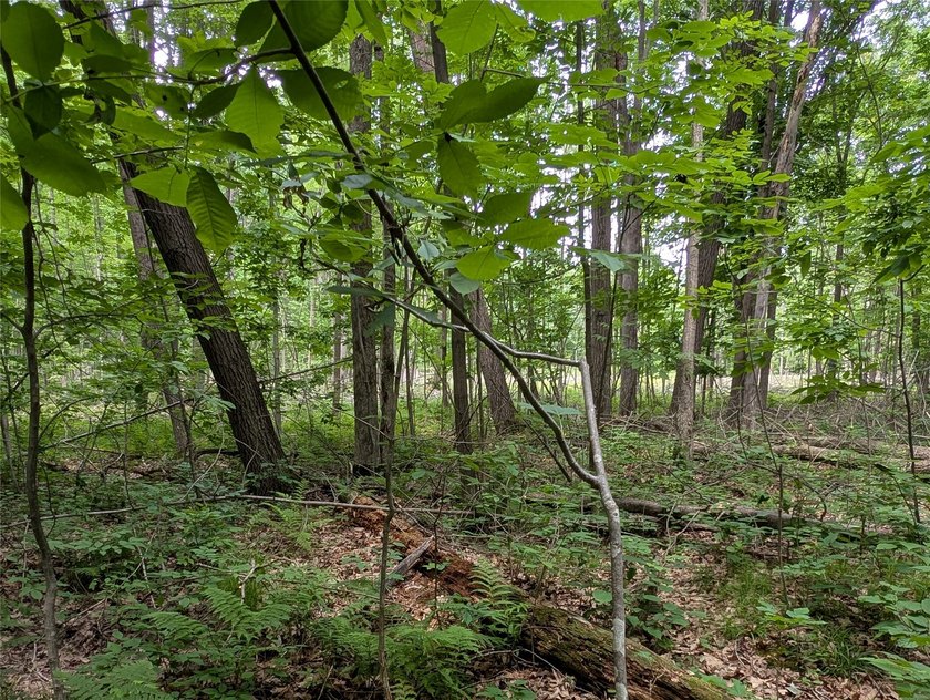 Tucked into the trees just outside Ladysmith, this .92-acre - photo 11