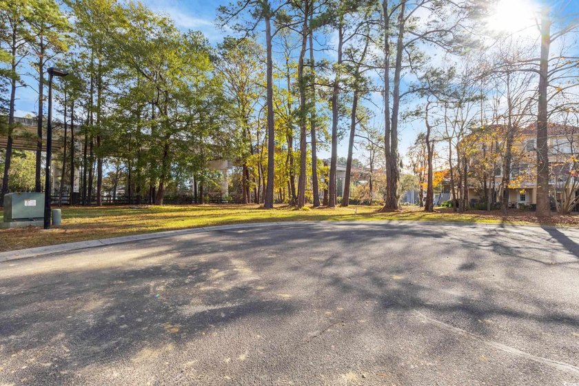 Make your dream home a reality on this beautiful cul-de-sac lot - photo 4