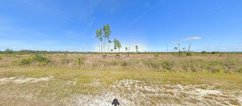 Vacant  land available at 506 Portulaca Drive, Florida 33855! - photo 2