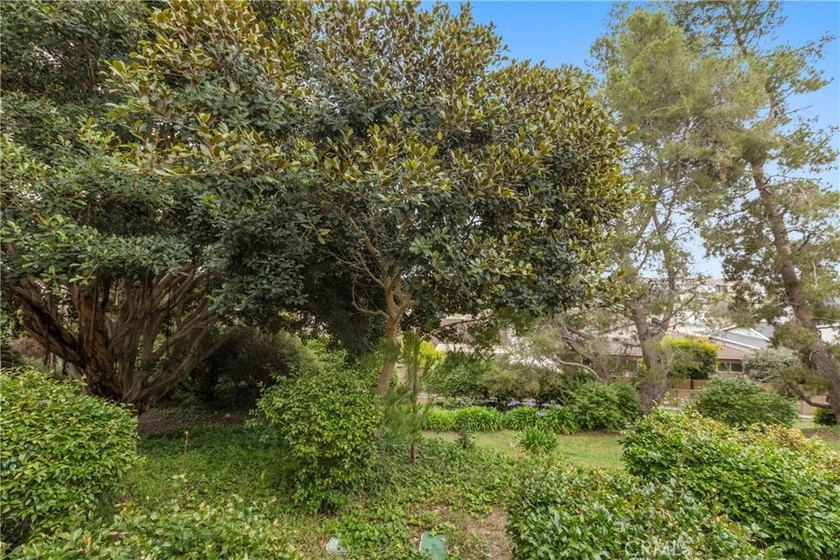 This is an amazing opportunity to own in the sought after Cabo - photo 14