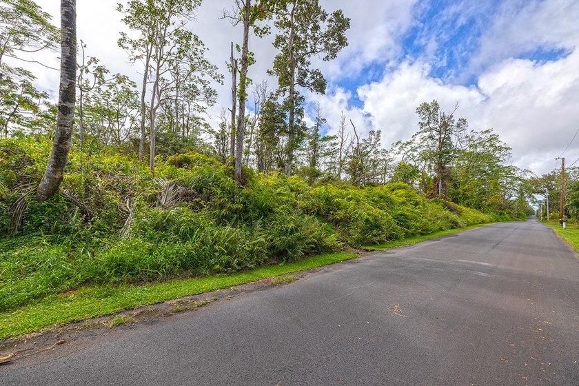 Nestled amidst a lush, verdant one-acre lot on Pomaikai Street - photo 4