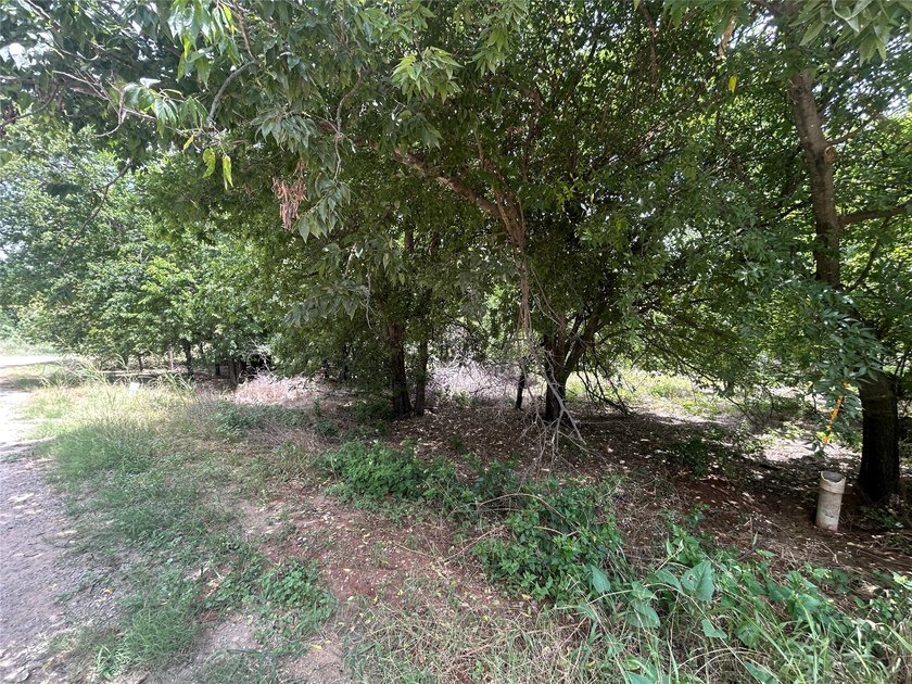 Welcome to this beautifully wooded, level lot. Nestled on a - photo 2