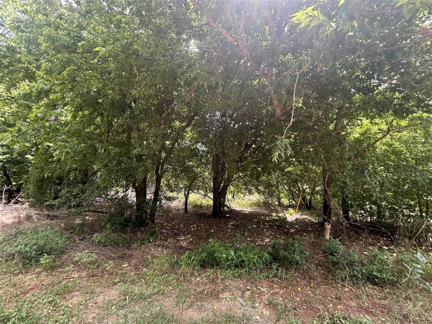 Welcome to this beautifully wooded, level lot. Nestled on a - photo 3