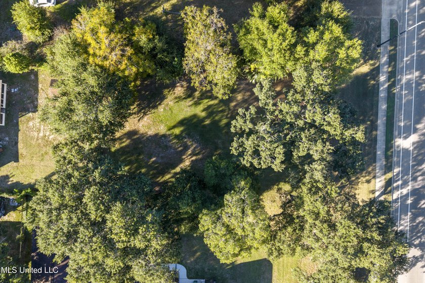 Take advantage of this prime 0.21-acre lot located on bustling - photo 4