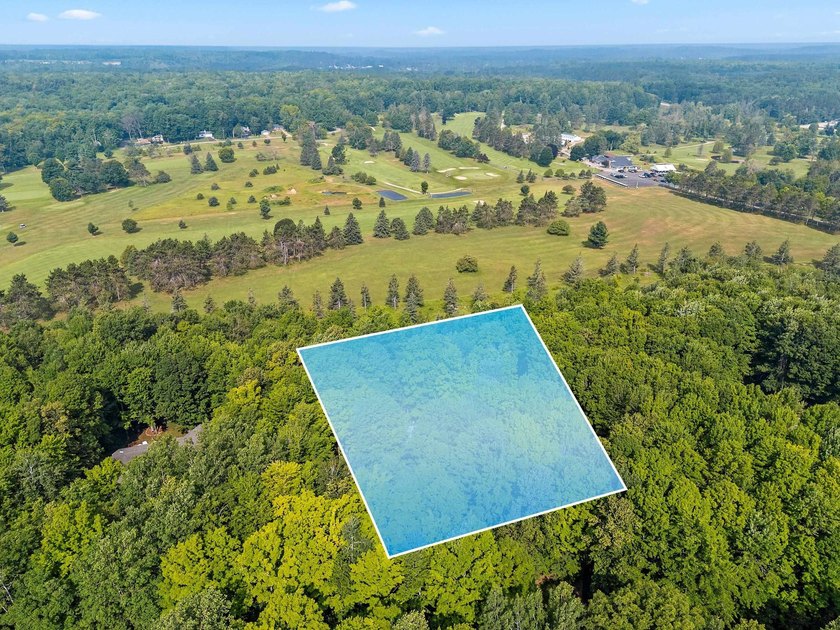Situated on beautiful McCauslin Brook Golf Course, this well - photo 3