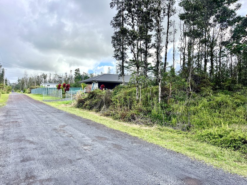 Discover the potential of this well-located vacant lot in - photo 4