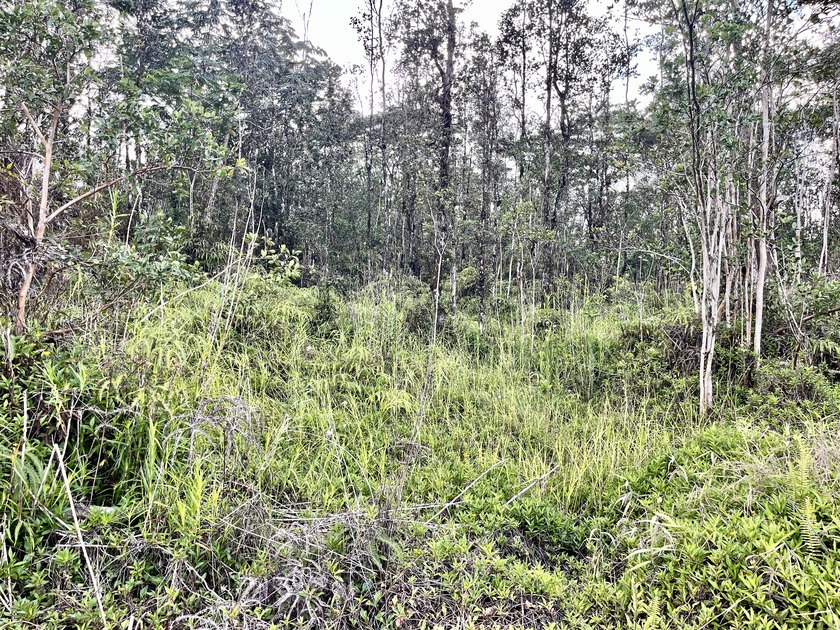 Discover the potential of this well-located vacant lot in - photo 6