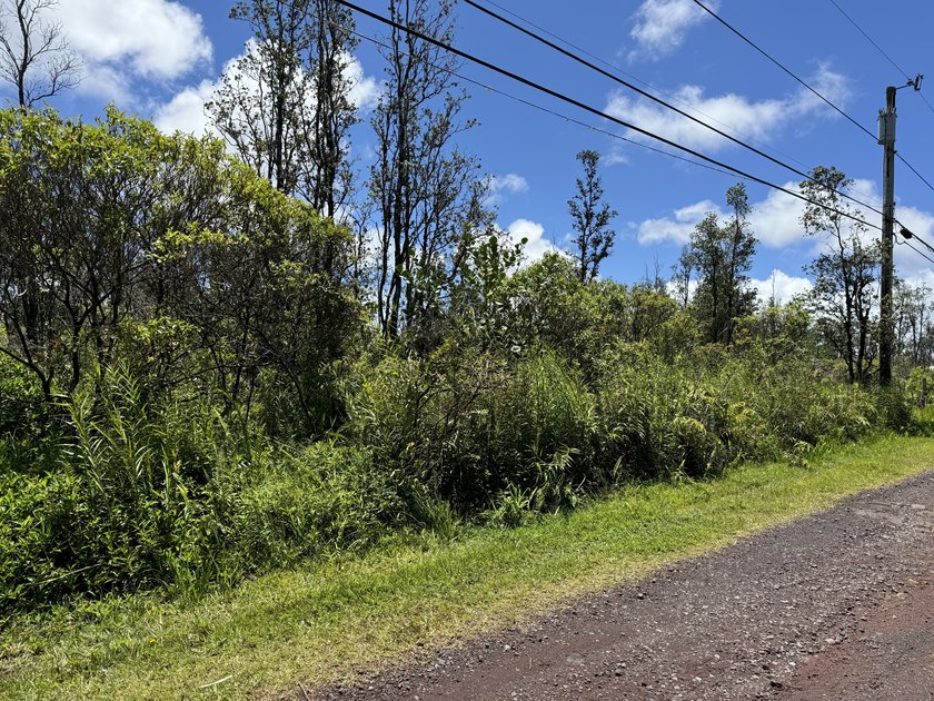 Now is the perfect time to invest in this this quarter acre - photo 3