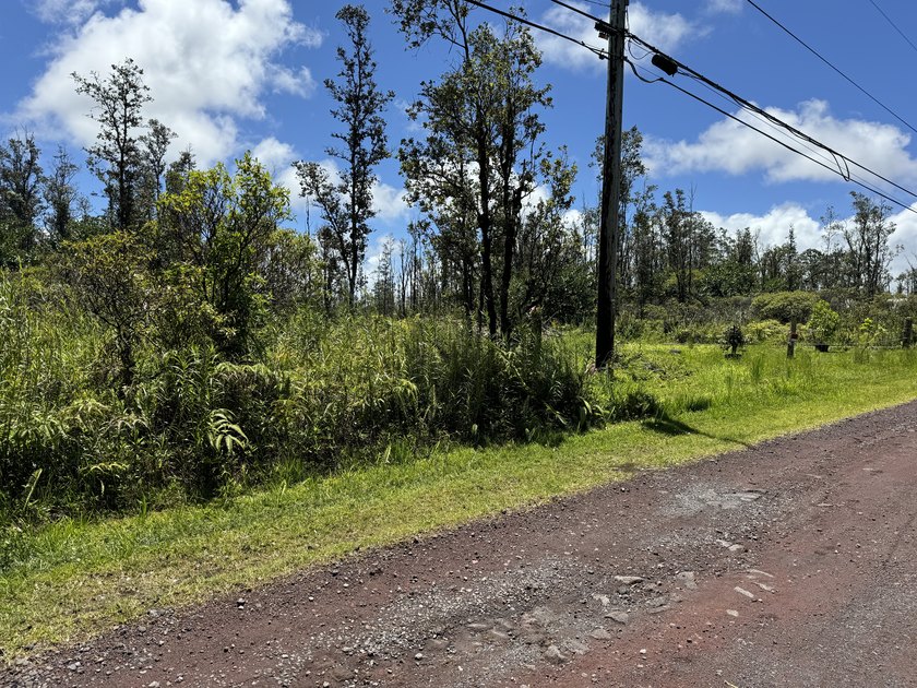 Now is the perfect time to invest in this this quarter acre - photo 4