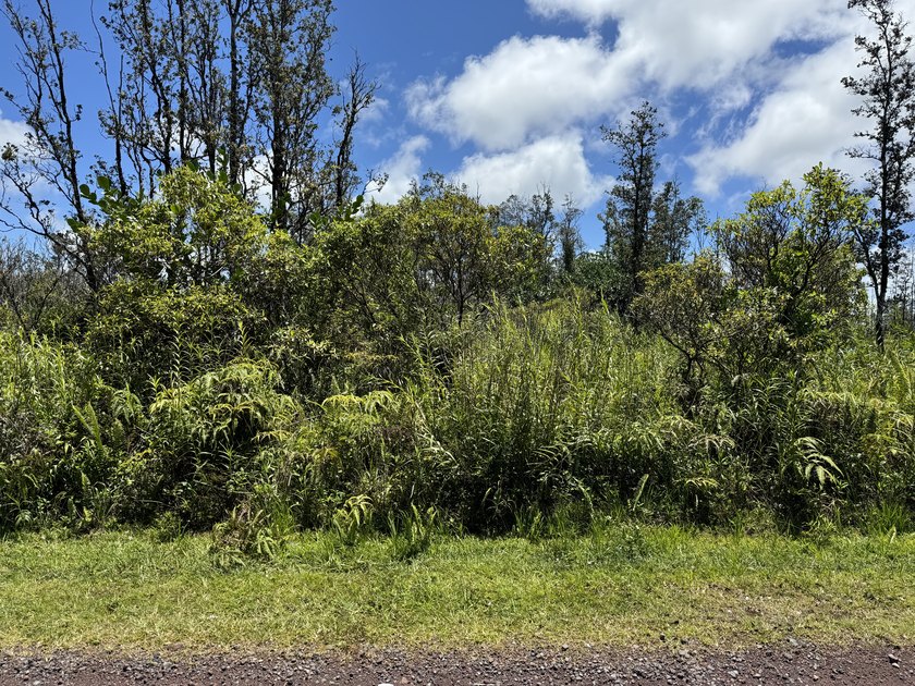 Now is the perfect time to invest in this this quarter acre - photo 8